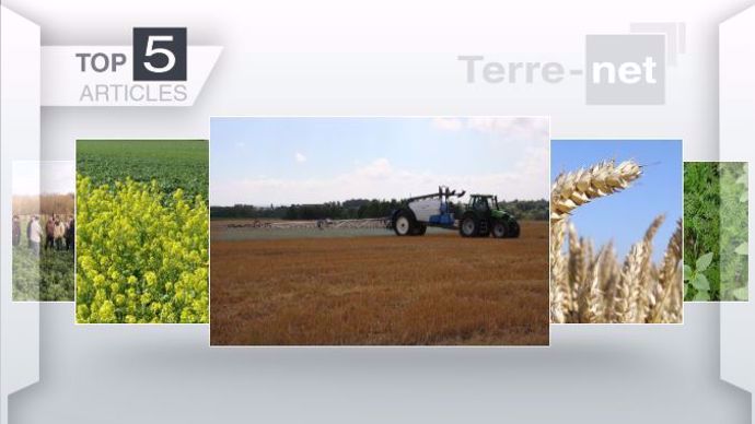 Les articles les plus lus sur Terre-net cette semaine. 