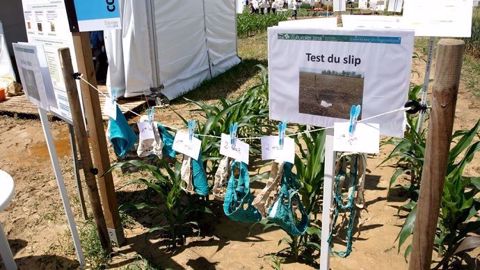 Le test du slip : moins celui-ci est présentable, plus votre sol se porte bien ! Un moyen simple mais efficace de déterminer la fertilité biologique de votre sol... (©Nicolas Mahey)
