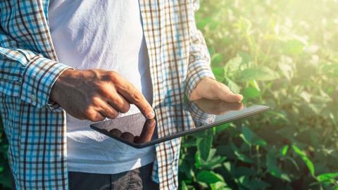 Ces fermes expérimentales représentent des vitrines des innovations technologiques et numériques en agriculture. (©Fotolia/Bits and Splits)