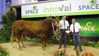 Prix de Championnat Mâle, Loustic (©Space) Prix de Championnat Mâle, Loustic (©Space)