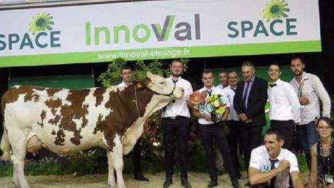Idalia au Gaec des Montagnes termine grande championne de la race montbéliarde Idalia au Gaec des Montagnes termine grande championne de la race montbéliarde