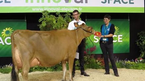 Jers'hys Hulsa, grande championne, championne adulte et meilleure mamelle adulte. (©Space) Jers'hys Hulsa, grande championne, championne adulte et meilleure mamelle adulte. (©Space)