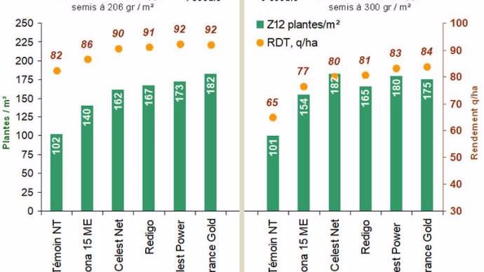 Efficacité des traitements de semences pour lutter contre la contamination des semences par les fusarioses sur blé tendre et sur blé dur (campagnes 2015 à 2018)