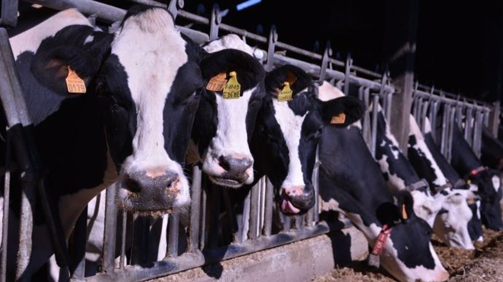 Sur les 5 premiers mois de 2018, 38 000 tonnes de lait infantile sont déjà parties vers la Chine (+ 117 % sur un an) pour un chiffre d'affaires de 124 millions d'euros. (©Terre-net Média)