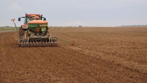 Dans ces guides, Arvalis-Institut du végétal propose les résultats d'essais 2018 ainsi que ses conseils mis à jour pour la campagne 2018/2019.  (©Terre-net Média)