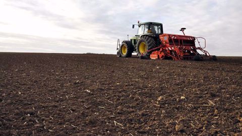 Avec les conditions sèches de l'année, les faux-semis sont peu efficaces. Arvalis préconise donc d'exclure les semis précoces dans les parcelles connues pour être infestées de ray-grass et de vulpins. (©Arvalis-Institut du végétal)