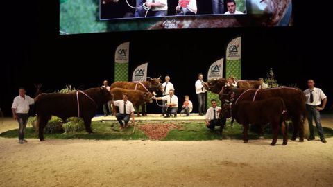 Les grands gagnants du concours national Salers Les grands gagnants du concours national Salers