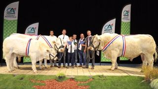 Italienne et Lapin remportent les titres de champions du concours Charolais Italienne et Lapin remportent les titres de champions du concours Charolais