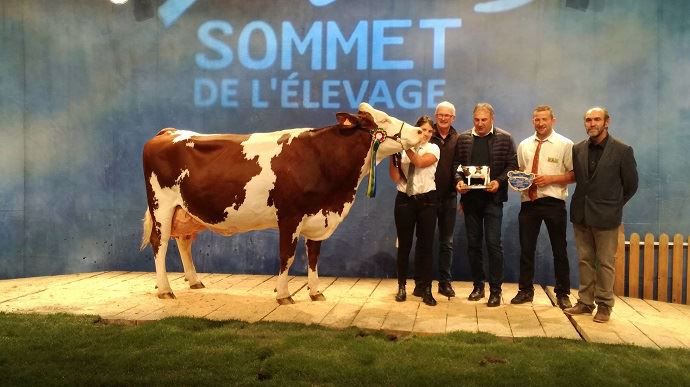 Fany, Grande Championne du concours Montbéliarde