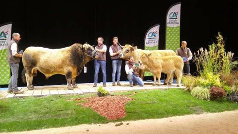 Houpette et Imanol l'emportent au concours Aubrac Houpette et Imanol l'emportent au concours Aubrac