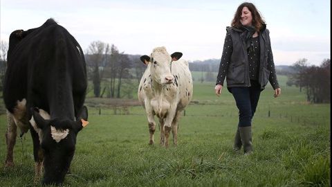 Charlotte Kerglonou a revu son système fourrager en passant de 20 ha de maïs ensilage à 5 ha, tout en augmentant sa SAU de 15 ha. (©Gaec Breiz Uhel) Charlotte Kerglonou a revu son système fourrager en passant de 20 ha de maïs ensilage à 5 ha, tout en augmentant sa SAU de 15 ha. (©Gaec Breiz Uhel)