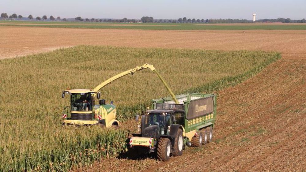 Pendant les journées Optimaize, Krone rappelle l'importance de bien éclater les grains. (©Terre-net Média)