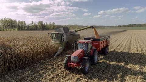 Selon Arvalis, le rendement moyen en maïs grain est de 93,2 q/ha pour la récolte 2018 qui vient de se terminer. (©Watier Visuels)