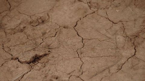 « Il y aura un plan de calamité agricole » selon Didier Guillaume (©Terre-net Média)