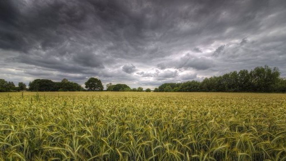 La pluie fait son arrivée en France (©Terre-net Média)