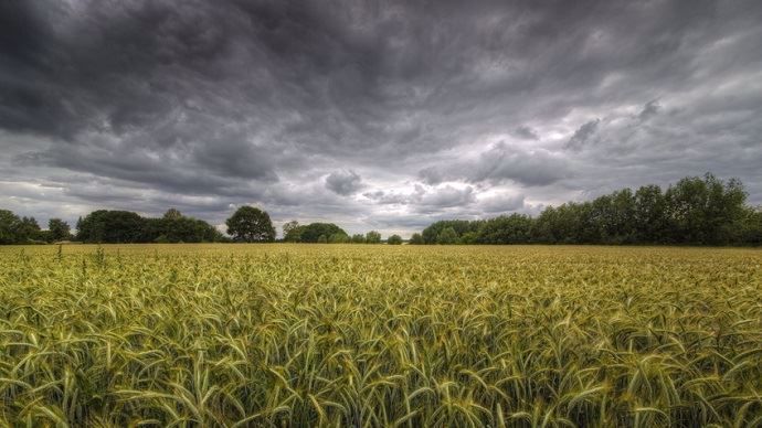 pluie ; orage