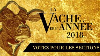 Les Prim'holsteins en lice pour le titre de « vache de l'année 2018 » représentent des chiffres renversants... Découvrez les sur le site de Prim'holstein France. (©Prim'holstein France) Les Prim'holsteins en lice pour le titre de « vache de l'année 2018 » représentent des chiffres renversants... Découvrez les sur le site de Prim'holstein France. (©Prim'holstein France)