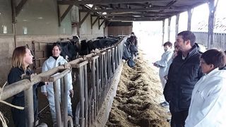 Eilyps propose un grand nombre de formations pour cet hiver (©Eilyps) Eilyps propose un grand nombre de formations pour cet hiver (©Eilyps)