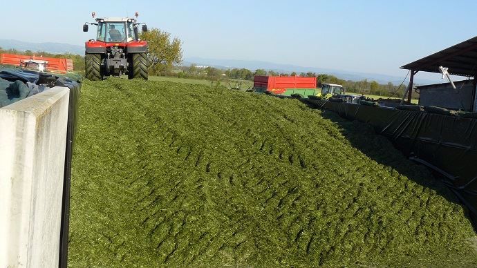 Ensilage d'herbe