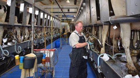 Selon le Cniel, la production laitière française poursuit son recul en cette fin d'année 2018. (©Terre-net Média) Selon le Cniel, la production laitière française poursuit son recul en cette fin d'année 2018. (©Terre-net Média)