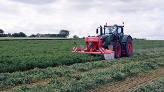 La luzerne permet d'augmenter l'autonomie alimentaire d'un élevage en replaçant une partie du maïs et des concentrés achetés. (©Arvalis institut du végétal) La luzerne permet d'augmenter l'autonomie alimentaire d'un élevage en replaçant une partie du maïs et des concentrés achetés. (©Arvalis institut du végétal)