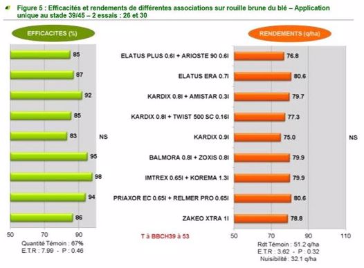 Efficacités et rendements de différentes associations sur rouille brune du blé 