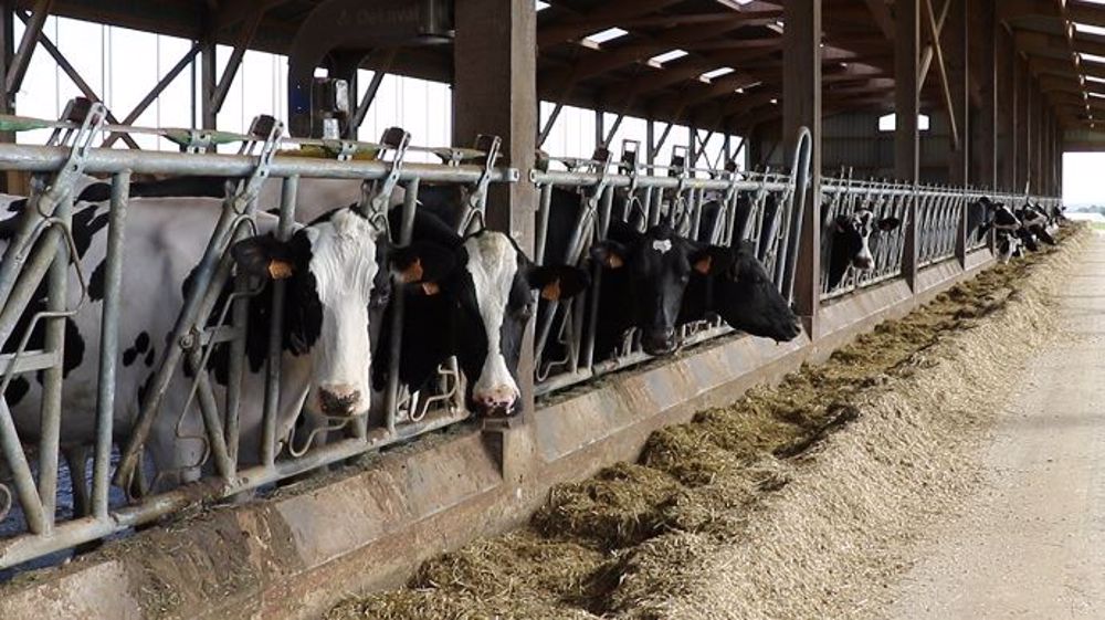 Si le concentré de production apporte + 0,5 kg de lait/kg de concentré, il faut veiller à ce qu'il ne fasse pas basculer la marge sur coût alimentaire dans le négatif... (©Terre-net-média)