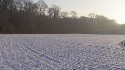 MeteoNews annonce un épisode neigeux entre mardi et mercredi. (©Terre-net Média)