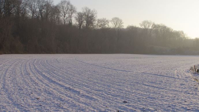 Parcelle sous la neige