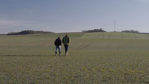 Le tour de plaine permet d'observer les levées d'adventices et d'estimer leur nuisibilité directe et indirecte. (©Bayer)