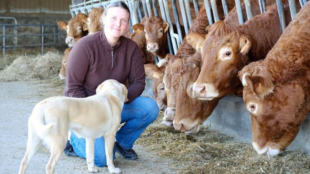 Perrine Sourice, 26 ans, s'est installée seule et hors cadre familial en 2018 sur un élevage de Limousines du Maine-et-Loire. (©Nathalie Tiers)