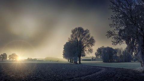 Un mois d'hiver typique sur le pays, bien que légèrement plus froid qu'habituellement, un peu plus sec et un chouia plus sombre, selon MeteoNews. (©Pixabay)