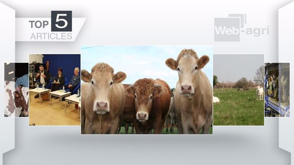 Les articles les plus lus de la semaine sur Web-agri. (©Terre-net Média) Les articles les plus lus de la semaine sur Web-agri. (©Terre-net Média)