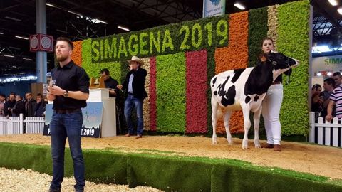 Gah Olga des Grilles, fille de Boldi V Gymnast vendue 130 000 € lors de la vente Paris Dairy Sale 2019 organisée par Gènes Diffusion au Simagena. (©Terre-net Média) Gah Olga des Grilles, fille de Boldi V Gymnast vendue 130 000 € lors de la vente Paris Dairy Sale 2019 organisée par Gènes Diffusion au Simagena. (©Terre-net Média)
