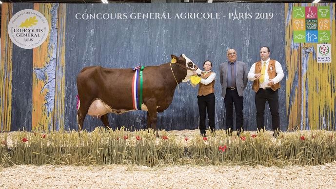 La championne adulte de la race abondance.