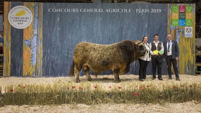 Prix de championnat mâle Aubrac