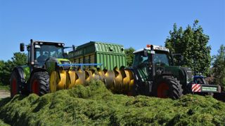 Herbe ou maïs, la réussite de l'ensilage dépend de nombreux facteurs. (©Photo par InsaPictures sur Pixabay) Herbe ou maïs, la réussite de l'ensilage dépend de nombreux facteurs. (©Photo par InsaPictures sur Pixabay)