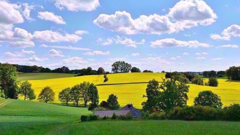 Quel temps pour la levée et le développement des cultures en ce printemps 2019 ? (©Pixabay) Quel temps pour la levée et le développement des cultures en ce printemps 2019 ? (©Pixabay)