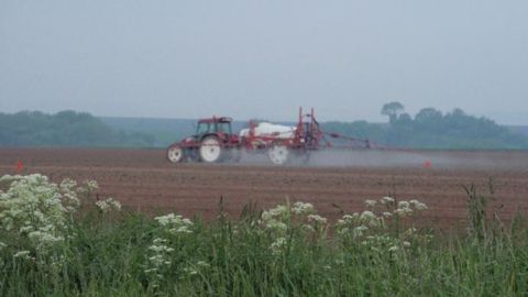 Dans l'Ain, un producteur s'est fait agressé alors qu'il était en train d'opérer un désherbage sur l'une de ses parcelles. (Image d'illustration) (©Terre-net Média)