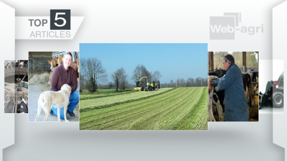 Les cinq articles les plus lus de la semaine sur Web-agri. (©Terre-net Média)