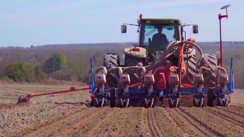 La date de semis idéale : aussi tôt que possible, aussi tard que nécessaire. (©Terre-net Média)