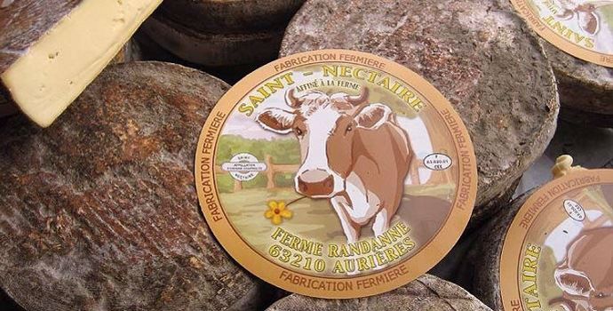 Le Gaec des Violettes (63) produit du Saint-Nectaire fermier AOP mais également de la Fourme d'Aurières et du Gaperon. 80 % des fromages sont vendus sur l'exploitation.