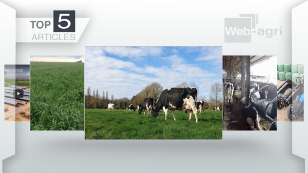 Les cinq articles les plus lus de la semaine sur Web-agri. (©Terre-net Média)