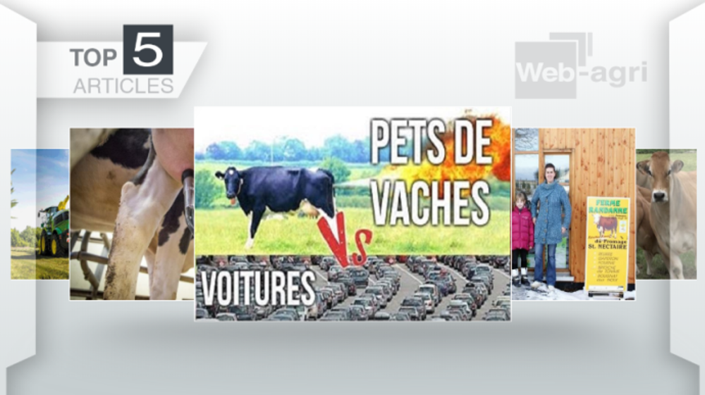 Articles les plus lus sur Web-agri cette semaine. (©Terre-net Média)