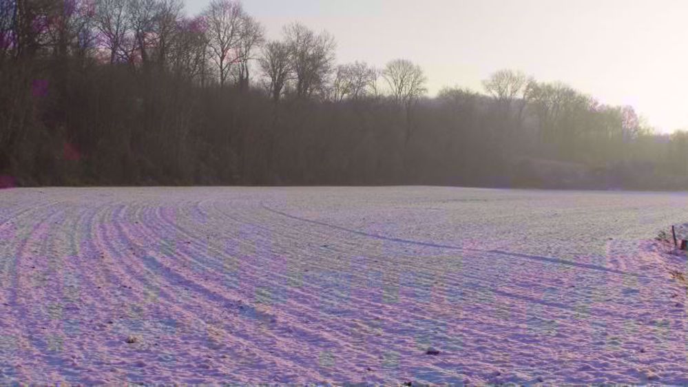 De nouvelles chutes de neiges importantes sont attendues dans les régions de production de blé, de maïs et de soja américain, et inquiètent les courtiers quant à de potentielles perturbations des récoltes ensuite. (©Terre-net Média)