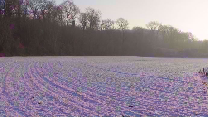 Parcelle sous la neige