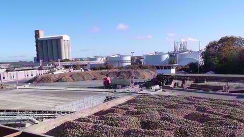 Cristal Union prévoit de fermer deux sucreries en France et de réduire l'activité d'une troisième. (©Terre-net Média)