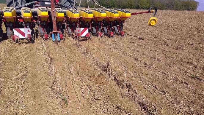 Semis de maïs après strip-till