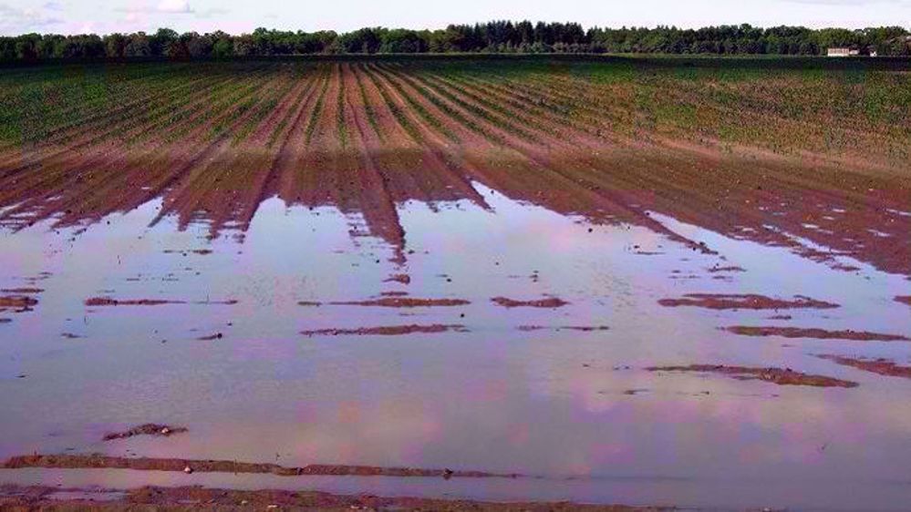Environ un tiers des agriculteurs s'assurent contre les aléas climatiques. (©Pixabay)