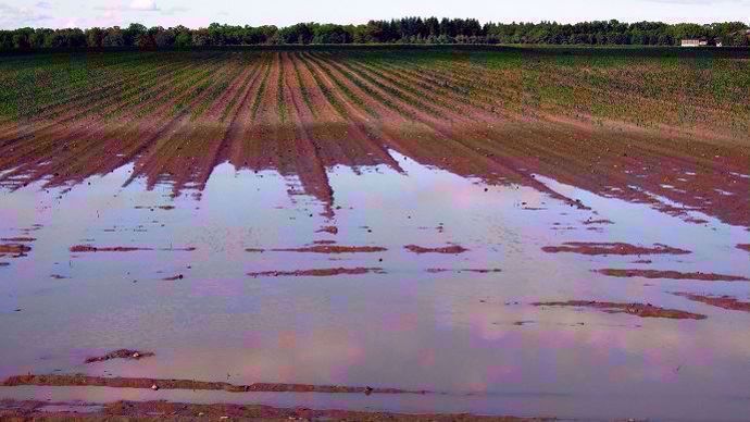 Champs inondé